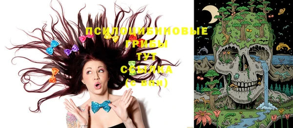 кристаллы Богданович